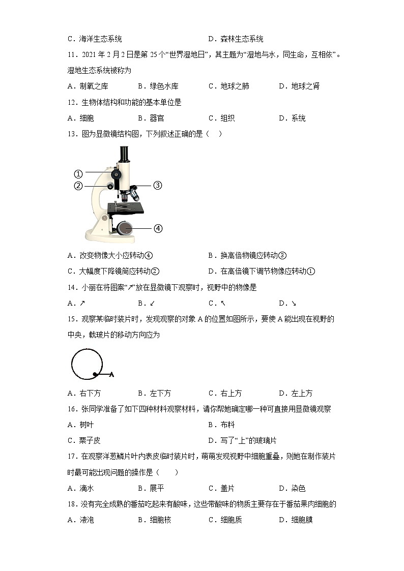 广西柳州市柳城县2022-2023学年七年级上学期期中生物试题(含答案)02