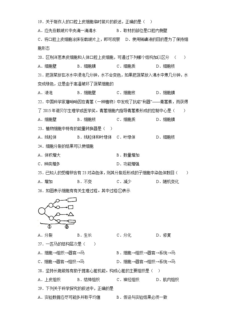 广西柳州市柳城县2022-2023学年七年级上学期期中生物试题(含答案)03