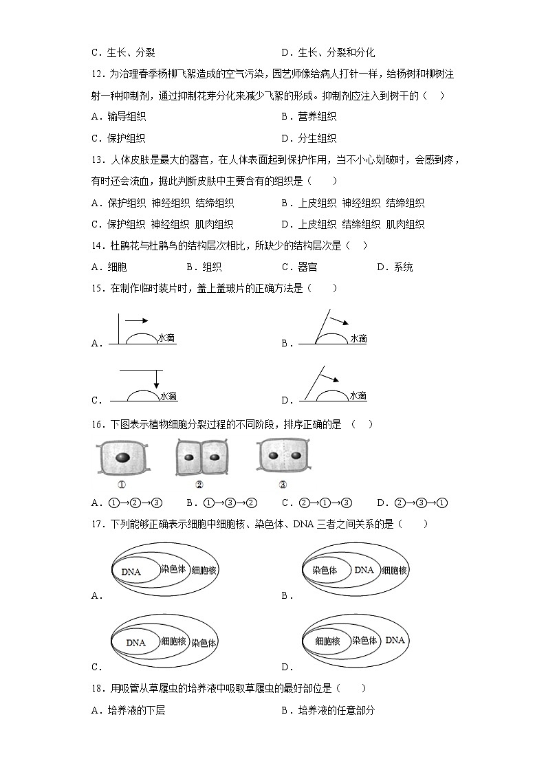 吉林省长春市汽车经济技术开发区2022-2023学年七年级上学期期中生物试题(含答案)第2页