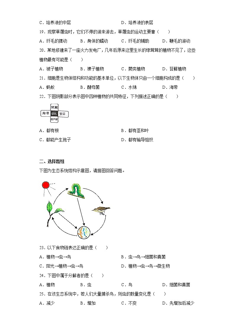 吉林省长春市汽车经济技术开发区2022-2023学年七年级上学期期中生物试题(含答案)第3页