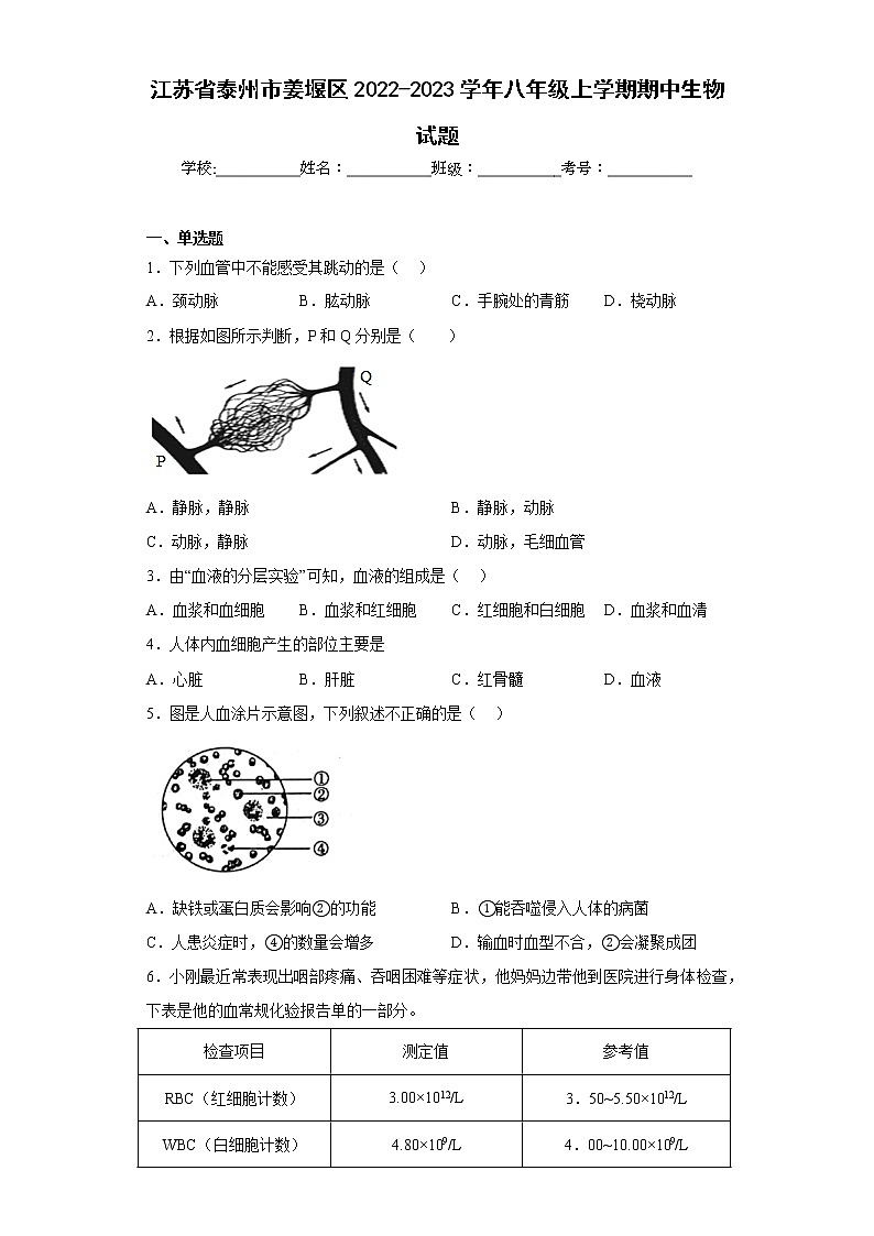 江苏省泰州市姜堰区2022-2023学年八年级上学期期中生物试题(含答案)第1页