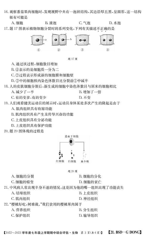七年级生物广东北师大上学期期中评估无答案第3页