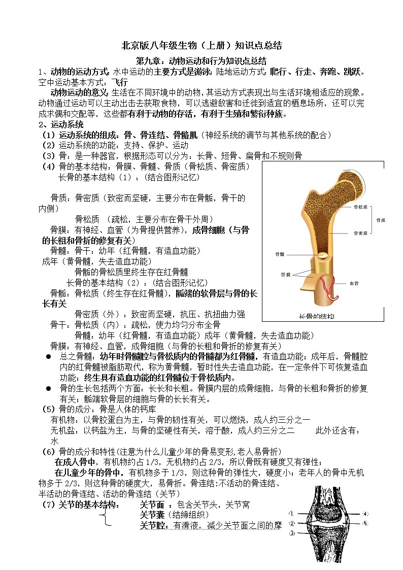 北京版八年级生物(上册)知识点总结01