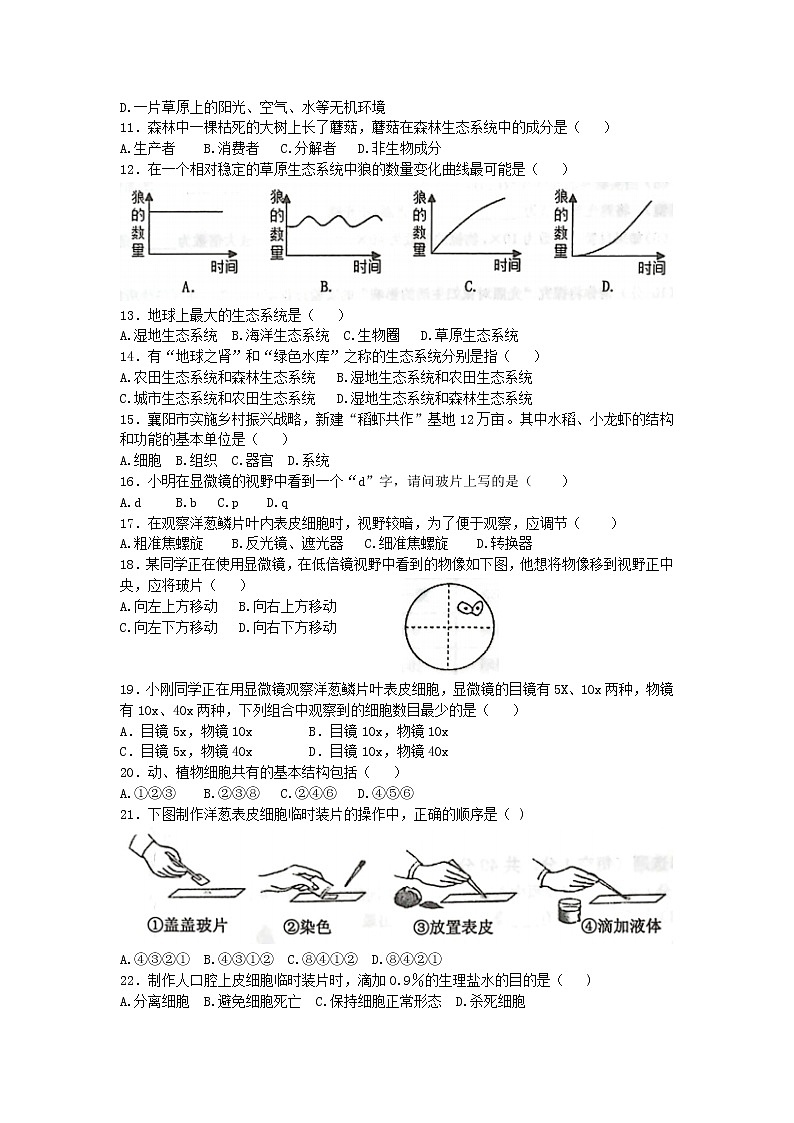 河南省灵宝市2022-2023学年七年级上学期期中学情调研生物测试卷(含答案)第2页