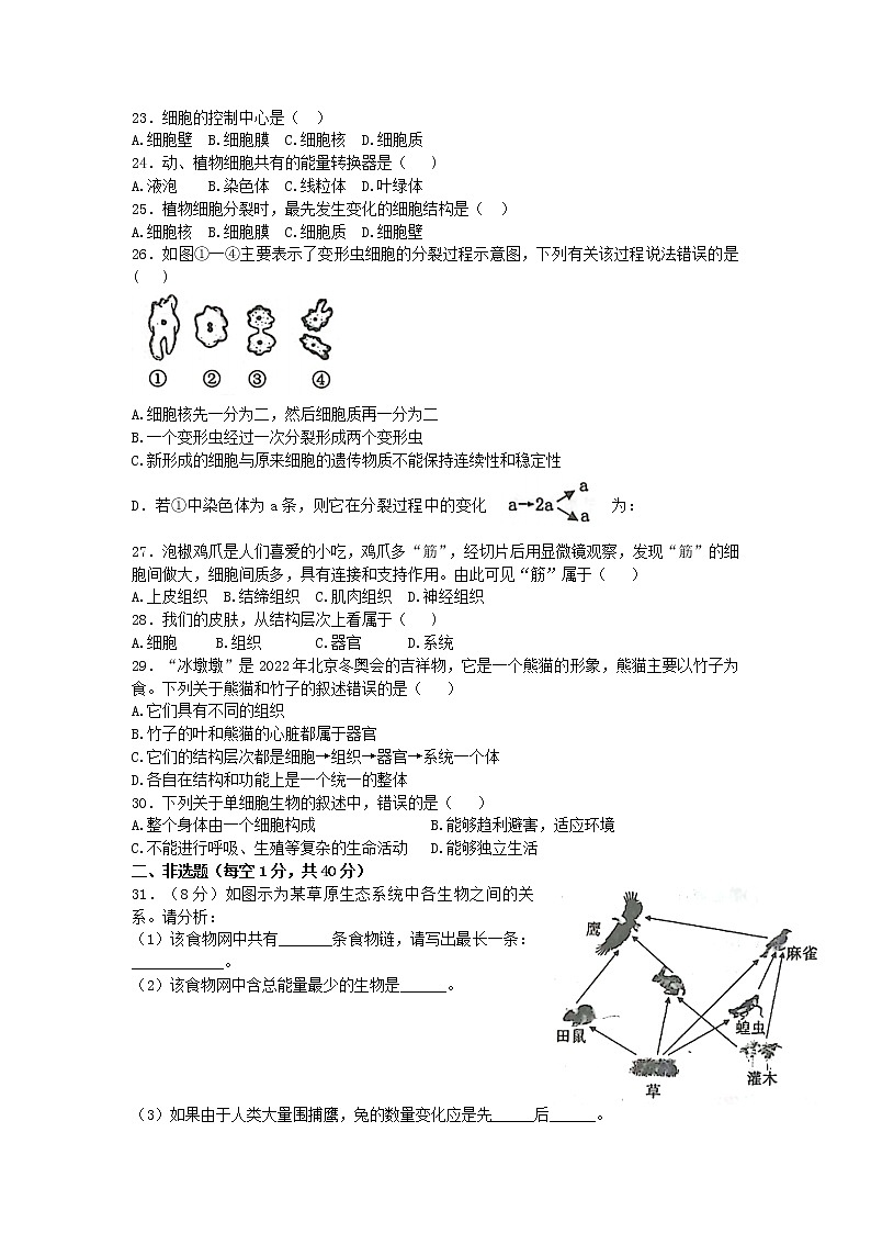 河南省灵宝市2022-2023学年七年级上学期期中学情调研生物测试卷(含答案)第3页