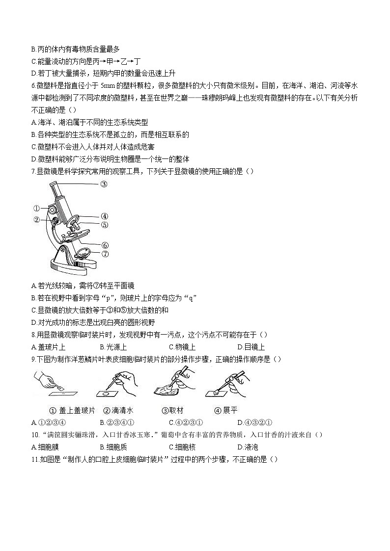 江西省南昌市第二十八学中教育集团 2022-2023 学年七年级上学期期中生物试题(含答案)02