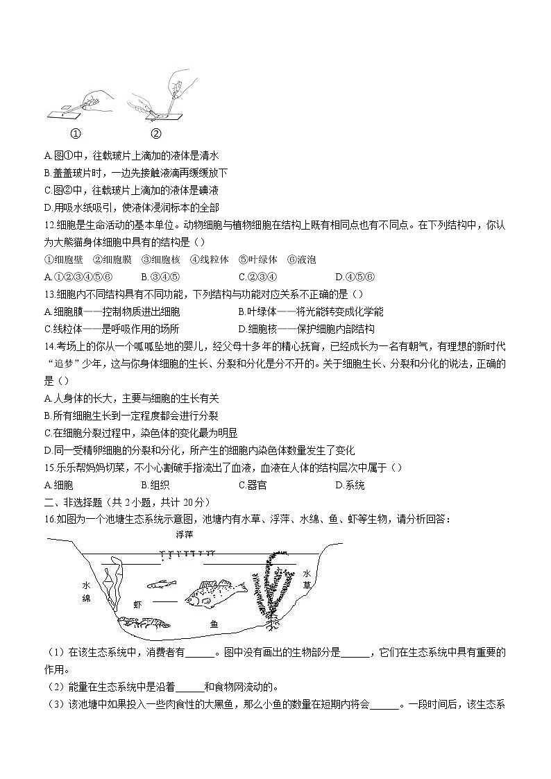 江西省南昌市第二十八学中教育集团 2022-2023 学年七年级上学期期中生物试题(含答案)03