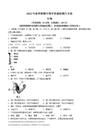 广西贵港市港南区2022-2023学年八年级上学期期中生物试题(含答案)