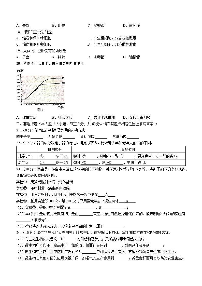 广西贵港市港南区2022-2023学年八年级上学期期中生物试题(含答案)第3页