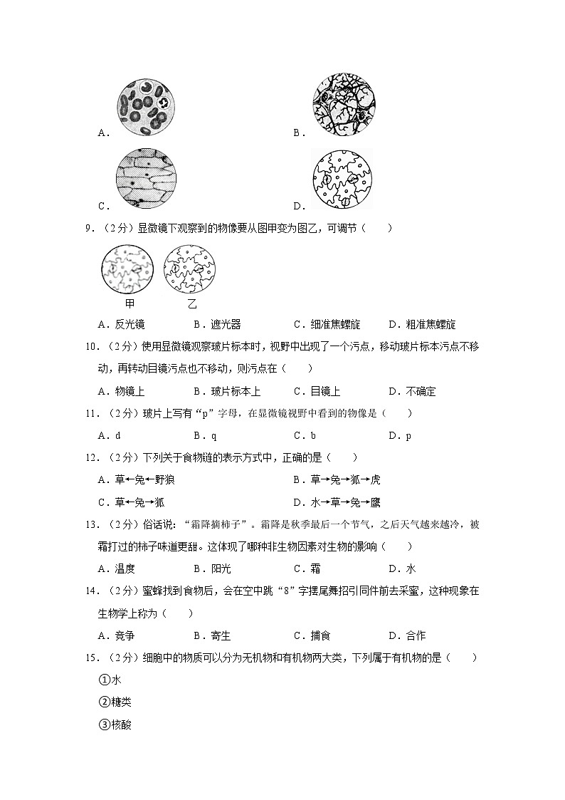 福建省厦门市思明区松柏中学2022-2023学年七年级上学期期中生物试卷(含答案)第2页