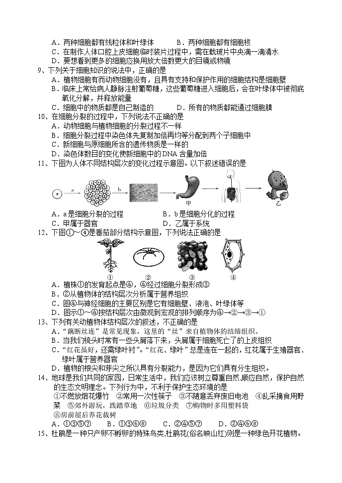 湖北省襄阳市老河口市2022-2023学年七年级上学期期中学业质量检测生物试题(含答案)02