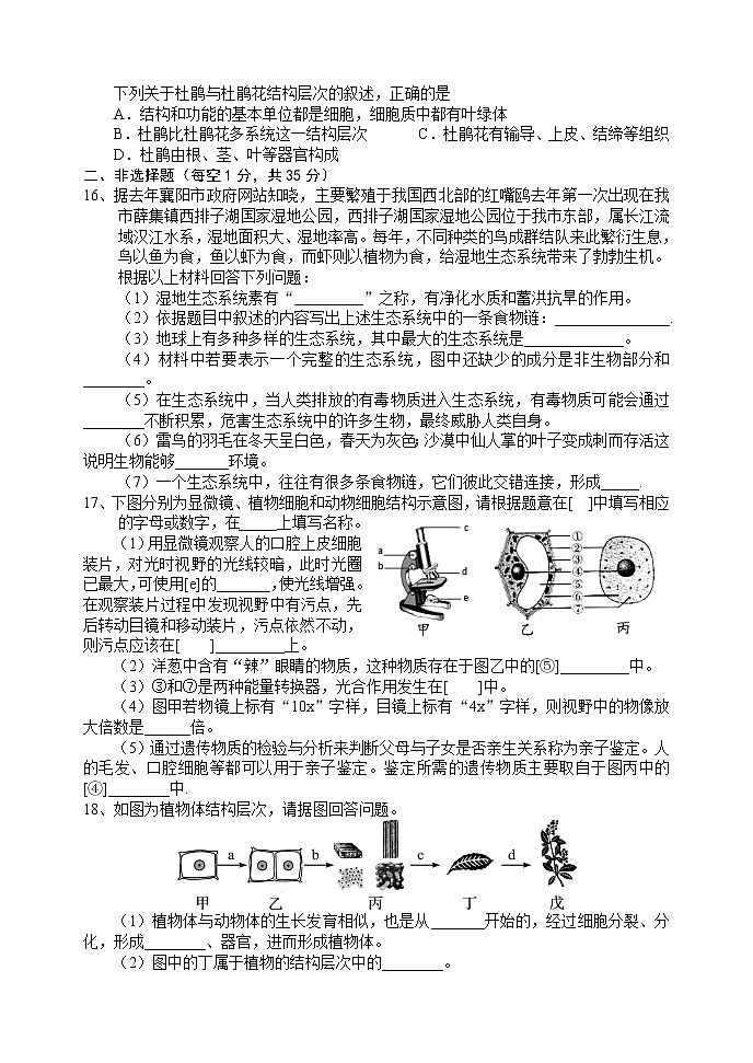 湖北省襄阳市老河口市2022-2023学年七年级上学期期中学业质量检测生物试题(含答案)03