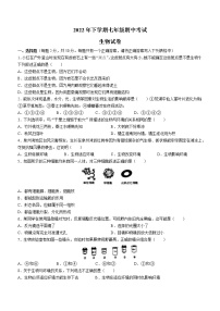 湖南省常德市临澧县2022-2023学年七年级上学期期中生物试题(含答案)