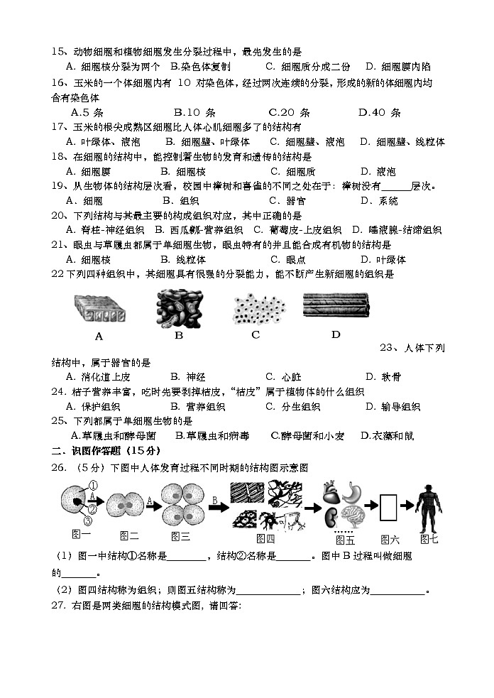 湖南省长沙市浏阳市2022-2023学年七年级上学期期中生物试题(含答案)第2页