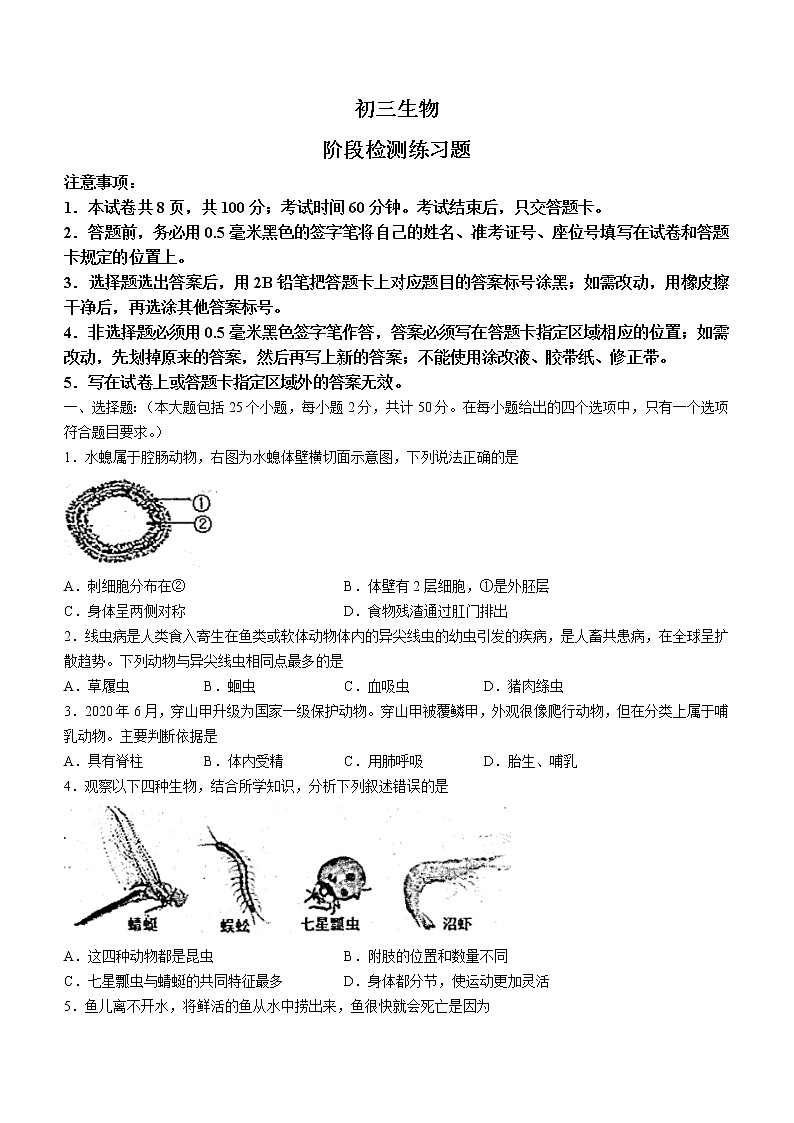 山东省烟台市芝罘区2022-2023学年八年级上学期期中生物试题(含答案)第1页