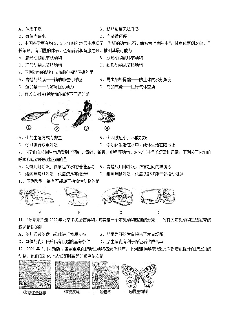 山东省烟台市芝罘区2022-2023学年八年级上学期期中生物试题(含答案)第2页