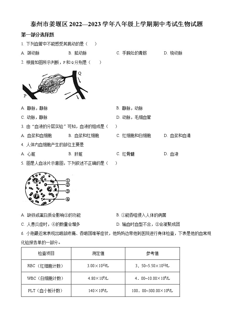 泰州市姜堰区2022—2023学年八年级上学期期中考试生物试题（含解析）第1页