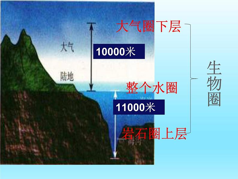 2022北师大版七年级生物上册第1单元认识生命第1章生命的世界第1节形形色色的生物课件第1页