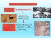 2022北师大版七年级生物上册第1单元认识生命第2章探索生命第1节生物学是探索生命的科学课件