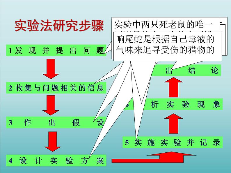 2022北师大版七年级生物上册第1单元认识生命第2章探索生命第2节生物学研究的基本方法课件第5页