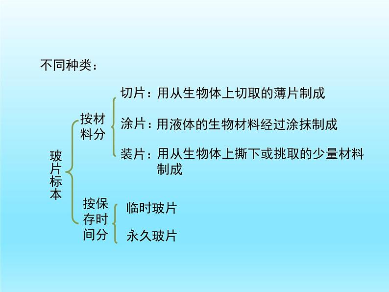 2022北师大版七年级生物上册第2单元生物体的结构第3章细胞第1节细胞的基本结构和功能第2课时课件06