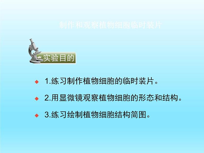 2022北师大版七年级生物上册第2单元生物体的结构第3章细胞第1节细胞的基本结构和功能第3课时课件05