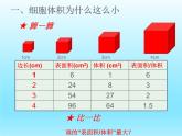 2022北师大版七年级生物上册第2单元生物体的结构第3章细胞第3节细胞通过分裂而增殖课件