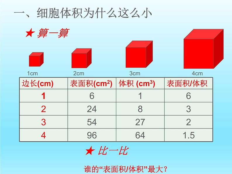 2022北师大版七年级生物上册第2单元生物体的结构第3章细胞第3节细胞通过分裂而增殖课件第4页