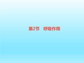 2022北師大版七年級(jí)生物上冊(cè)第3單元生物圈中的綠色植物第5章綠色開花植物的生活方式第2節(jié)呼吸作用課件