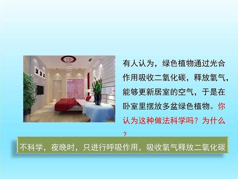 2022北师大版七年级生物上册第3单元生物圈中的绿色植物第5章绿色开花植物的生活方式第2节呼吸作用课件第3页