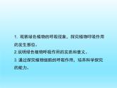 2022北師大版七年級(jí)生物上冊(cè)第3單元生物圈中的綠色植物第5章綠色開花植物的生活方式第2節(jié)呼吸作用課件