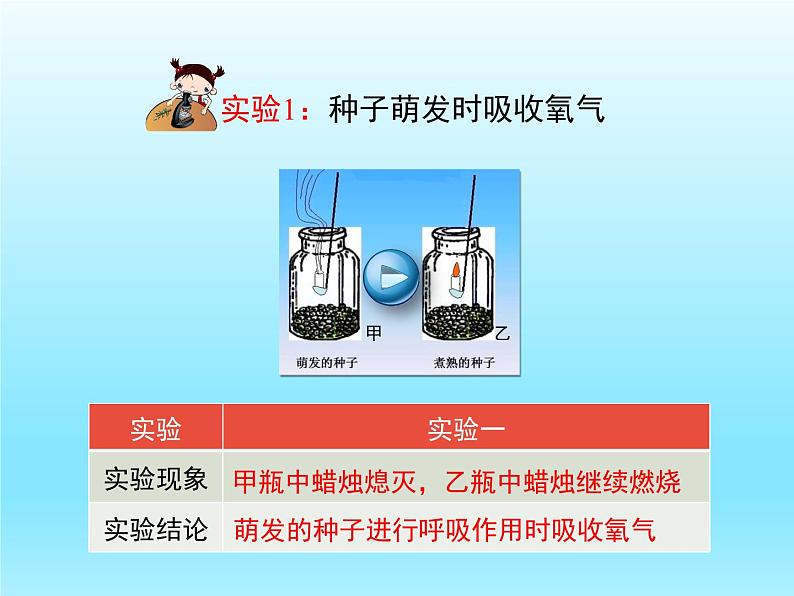 2022北师大版七年级生物上册第3单元生物圈中的绿色植物第5章绿色开花植物的生活方式第2节呼吸作用课件第6页