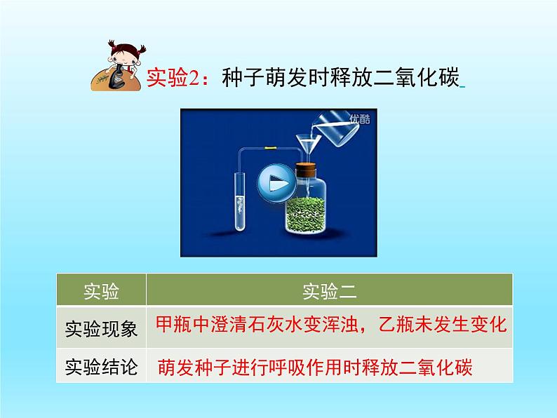 2022北师大版七年级生物上册第3单元生物圈中的绿色植物第5章绿色开花植物的生活方式第2节呼吸作用课件第7页