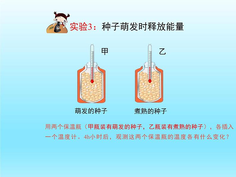 2022北师大版七年级生物上册第3单元生物圈中的绿色植物第5章绿色开花植物的生活方式第2节呼吸作用课件第8页