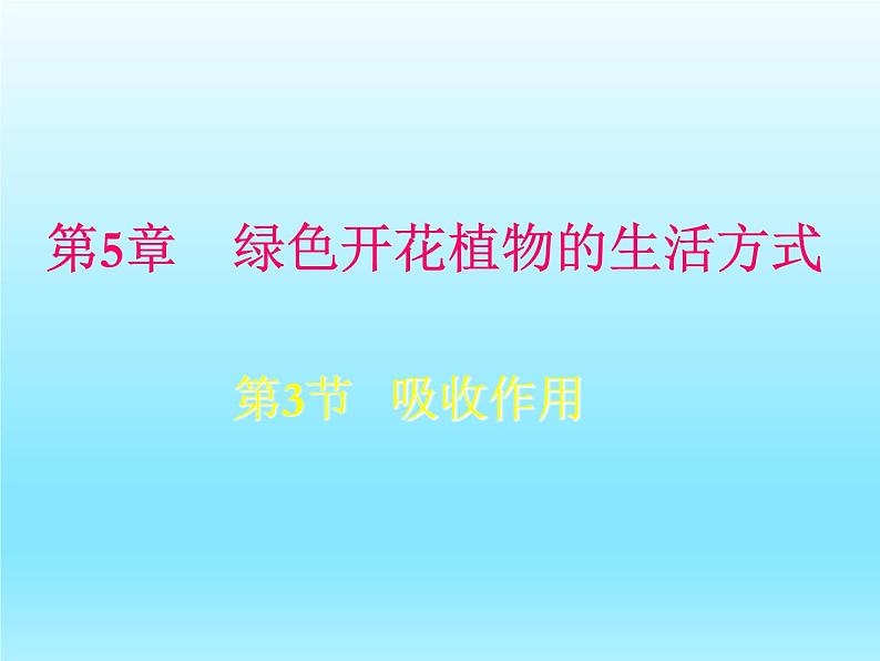 2022北师大版七年级生物上册第3单元生物圈中的绿色植物第5章绿色开花植物的生活方式第3节吸收作用课件03