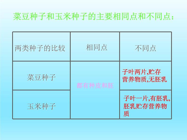 2022北师大版七年级生物上册第3单元生物圈中的绿色植物第6章绿色开花植物的生活史第1节种子萌发形成幼苗课件05