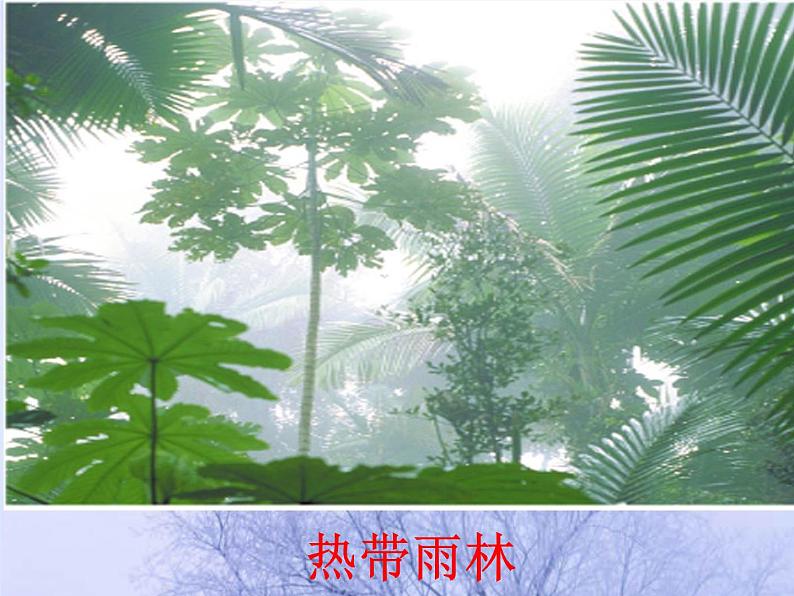 2022北师大版七年级生物上册第3单元生物圈中的绿色植物第7章绿色植物与生物圈第2节我国的植物资源课件05