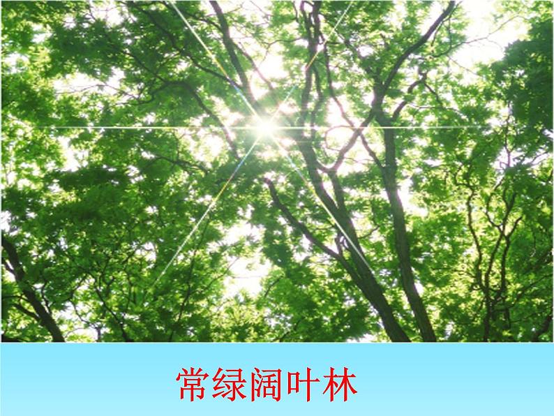 2022北师大版七年级生物上册第3单元生物圈中的绿色植物第7章绿色植物与生物圈第2节我国的植物资源课件06