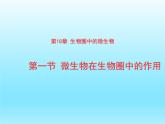 2022北师大版八年级生物上册第五单元生物圈中的动物和微生物第18章生物圈中的微生物第1节微生物在生物圈中的作用课件