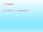 2022北师大版八年级生物上册第五单元生物圈中的动物和微生物第18章生物圈中的微生物第1节微生物在生物圈中的作用课件