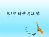 2022北师大版八年级生物上册第六单元生命的延续第20章生物的遗传和变异第5节遗传与环境课件