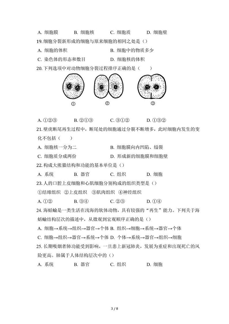 北京市东直门中学 2022-2023 学年度第一学期期中考试初一上册期中生物试卷03