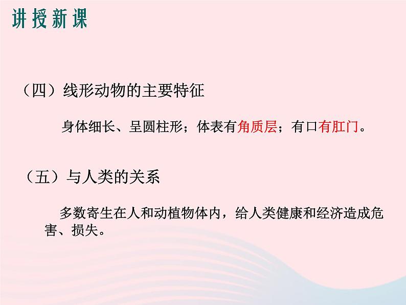 2022人教版八年级生物上册第一章动物的主要类群第二节线形动物和环节动物课件2第8页
