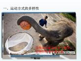 2022人教版八年级生物上册第二章动物的运动和行为第一节动物的运动课件