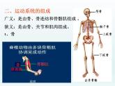 2022人教版八年级生物上册第二章动物的运动和行为第一节动物的运动课件