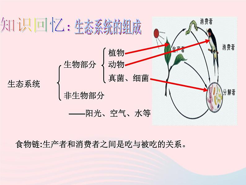 2022人教版八年级生物上册第三章动物在生物圈中的作用课件第3页