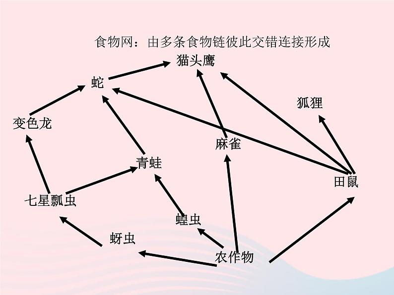 2022人教版八年级生物上册第三章动物在生物圈中的作用课件第5页