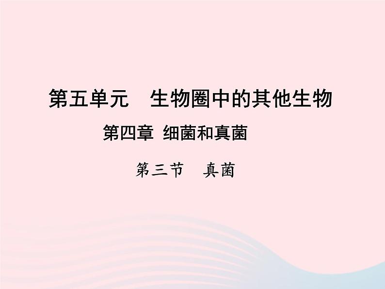 2022人教版八年级生物上册第四章细菌和真菌第三节真菌课件2第1页