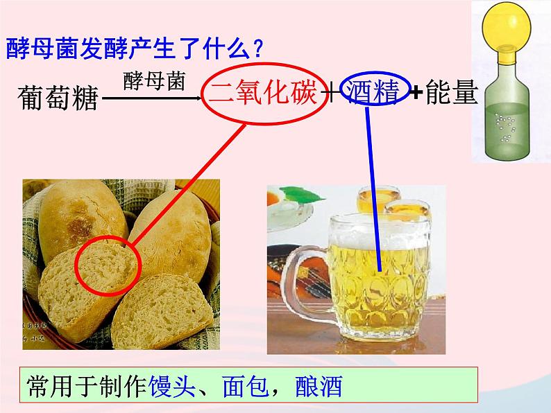 2022人教版八年级生物上册第四章细菌和真菌第五节人类对细菌和真菌的利用课件03