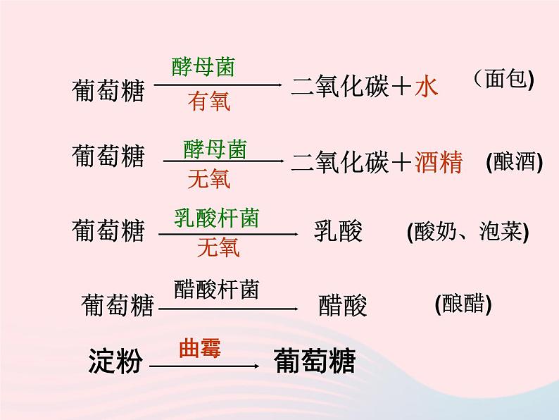 2022人教版八年级生物上册第四章细菌和真菌第五节人类对细菌和真菌的利用课件06